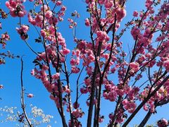 -西北湖绿化广场