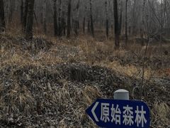 -阳台山自然风景区