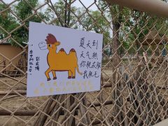 -武汉动物园