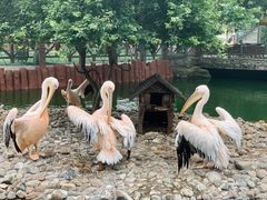 -大连老虎滩海洋公园