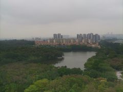 -三水森林公园
