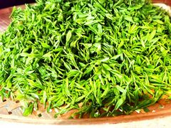 -阿巧茶庄