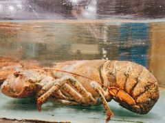 -龙宴海鲜城(经中路店)