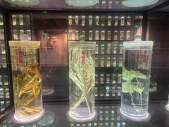 -广东中医药博物馆