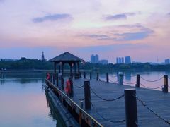 -海珠湖公园