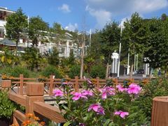 -广州白江湖森林公园