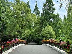 -东平国家森林公园