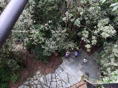 -云南屏边大围山国家公园