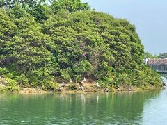 -广州白江湖森林公园