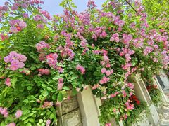 -天津五大道文化旅游区