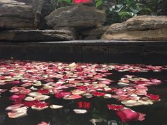 -昆明柏联SPA温泉