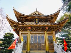 -上海东林寺(金山区)