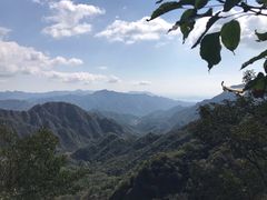 -大岭沟猕猴桃谷风景区