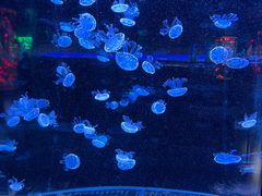 -杭州野生动物世界
