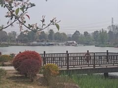 -九科绿洲