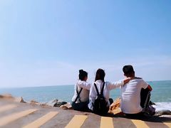 -广东惠东海龟国家级自然保护区