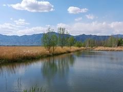 -野鸭湖国家湿地公园