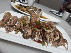 -华盛丰温州大排档(东三环南路店)