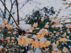 -南京国际青年文化中心