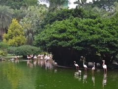 -九龙公园