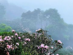 -梧桐山风景名胜区