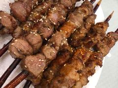 红柳肉串-双井轩(双井店)