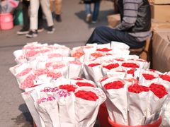 -循礼门鲜花花市(武汉循礼门店)