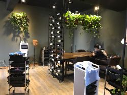 -藤野造型·专业烫染店