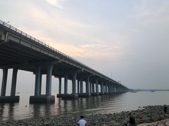 -宝安西湾红树林湿地公园