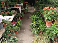 -金陵花卉交易市场