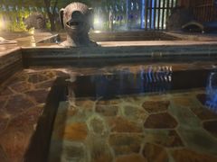 -中家鑫园温泉酒店鑫悦汤泉