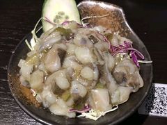 -春草居酒屋·晴子の店
