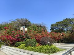 -顺峰山公园