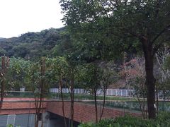 -香港大学