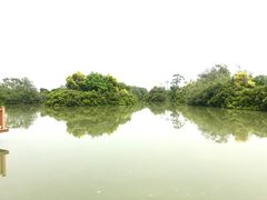 -大湾区中央湿地公园