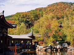 -重庆彩云湖湿地公园