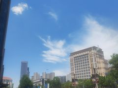 -静园(和平区)
