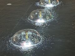 -涨巢·潮玩水疗局