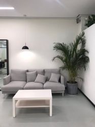 -T8 SALON