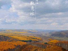 -塞罕坝国家级自然保护区