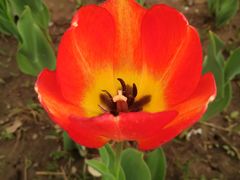 -廊坊文化艺术中心