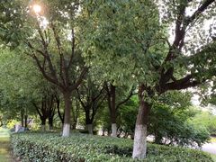 -九里河湿地公园