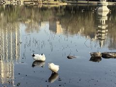 -木塔寺遗址生态公园