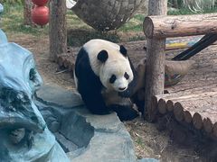 -大连森林动物园