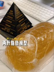 -Fundi张玉珊修身堂·indiba·BTL科技瘦身