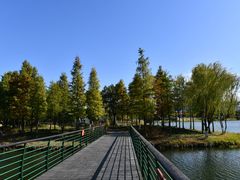 -尚贤河湿地