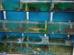 水产区-名超海鲜烧烤大排档