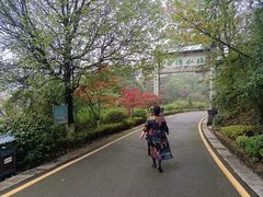 -贵州省植物园