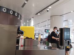 -麦当劳(北京大兴机场二层国内到达(安检外)店)