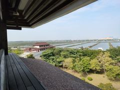 -大湾区中央湿地公园